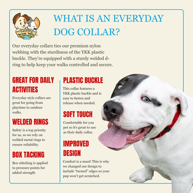 Country Brook Design Country Brook Petz - Everyday Nylon Dog Collar for Large, Medium, and Small Dogs and Puppies - for Everyday Use in 10+ Warm Colors (Medium, 3/4 Inch Wide, Red) - Image 5